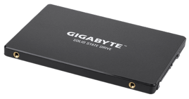 GP-GSTFS31256GTND.png